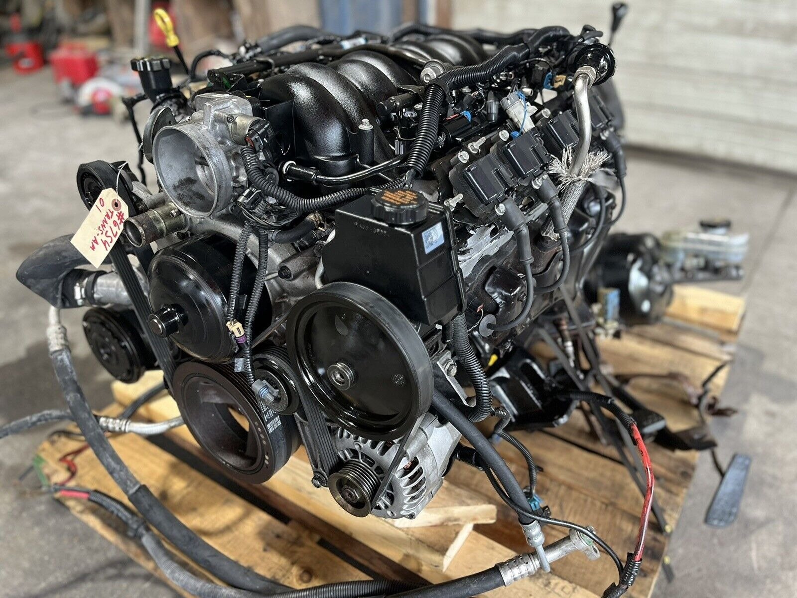 2001 Pontiac Trans Am – Fresh Rebuild 5.7L LS1 Engine & T-56 6-Speed Manual Transmission Pullout - Image 9